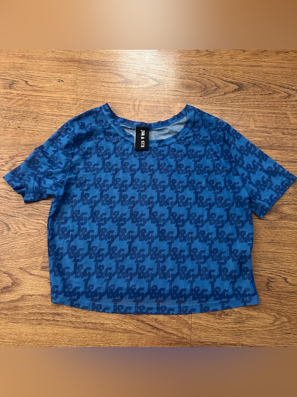 JGR & STN Blue Patterned mesh sheer Short Sleeve Top size 12 cropped boxy